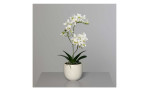 Orchidee 36 cm aus Kunststoff mit grünen Stiel und Blätter und weißen Blüten und Untertopf. Auf einem grauen Hintergrund.