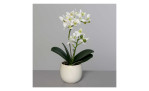 Orchidee 34 cm aus Kunststoff mit grünen Stiel und Blätter und weißen Blüten und Untertopf. Auf einem grauen Hintergrund.