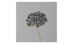 Anethum 42 cm aus Kunststoff mit braunen Blüten und Stiel. Auf einem grauen Hintergrund.