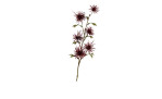 Hamamelis-Pick 51 cm aus Kunststoff mir roten Blüten, grünen Blätter und einem braunen Stiel.