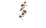 Hamamelis-Pick 51 cm aus Kunststoff mit braunen Blüten und Stiel, sowie grüne Blätter.
