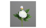 Päonie 36 cm aus Kunststoff mit weißen Blüten und grünen Stiel und Blätter. Auf einem grauen Hintergrund.