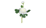 Ranunkel 35 cm aus Kunststoff mit weißen Blüten und grünen Stiel und Blätter.