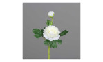 Ranunkel 35 cm aus Kunststoff mit weißen Blüten und grünen Stiel und Blätter. Auf einem grauen Hintergrund.