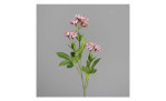 Astrantia 60 cm aus Kunststoff mit rosa Blüten und grünen Stiel und Blätter. Auf einem grauen Hintergrund.