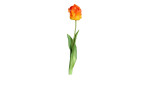 Tulpe 45 cm aus Kunststoff und Polyurethan mit einer orange / roten Blüte und grünen Stiel und Blätter.
