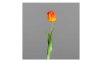 Tulpe 45 cm aus Kunststoff und Polyurethan mit einer orange / roten Blüte und grünen Stiel und Blätter. Auf einem grauen Hintergrund.