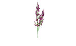 Wax-Blume 60 cm aus Kunststoff mit lila Blüten und grünen Stiel und Blätter.