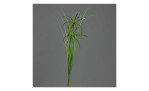Papyruszweig 67 cm in grün, mit einem grauen Hintergrund