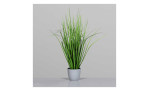 Grasarrangement 60 cm in einem grauen Pflanztopf, mit einem grauen Hintergrund