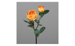Rose 57 cm in orange, mit einen grauen Hintergruund