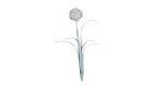 Pusteblume 82 cm in beige