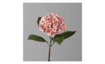 Hortensie 52 cm in Rosa, mit einem grauen Hintergrund