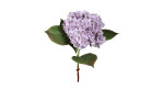 Hortensie 52 cm in lila
