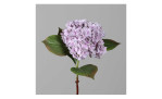 Hortensie 52 cm in lila, mit einem gauen Hintergrund