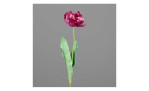 Tulpe 64cm in pink, violett mit einem grauen Hintergrund