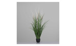 Gras 96 cm , mit einem grauen Hintergrund