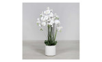 Orchideen-Arrangement 120 cm in weiß, auf dem Boden stehend