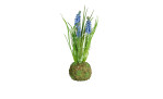Muscari 23 cm mit blauen Blüten und grünen gräsern aus Kunststoff.