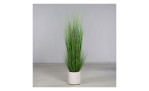 Gras 200 cm in einem weißen Kunststoff-Pflanzgefäß, hohes grünes Ziergras vor einem schlichten grauen Hintergrund.