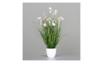 Die Wiesenblumen 70 cm zeigen hohes grünes Gras und weiße Blumen in einem beigen Kunststofftopf auf grauem Hintergrund.