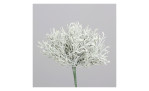 Der Calocephalus-Pick 24 cm ist ein gefrosteter Zweig mit weißen Zweigspitzen für eine minimale Dekoration vor einem grauen Hintergrund.