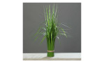 California-Beach-Stehgras 58 cm aus Kunststoff in grün mit einem braunen Band zugebunden. Auf einem grauen Hintergrund.