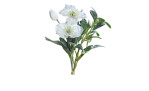 Heleborus-Mistel-Bund 33 cm aus Kunststoff mit weißen Blüten und grünen Stiel und Blätter. Zusätzich mit einer Beeisten Oberfläche.