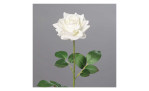 Rose 68 cm aus Kunststoff mit einer weißen Blüte und grünen Stiel und Blätter. Auf einem grauen Hintergrund.