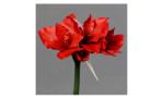 Amaryllis 56 cm aus Kunststoff mit roten Blüten und einem grünen Stiel. Auf einem grauen Hintergrund.