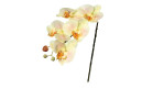 Orchidee 52 cm aus Kunststoff mit gelb / rosa Blüten und einem grünen Stiel.