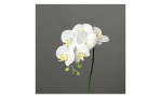 Orchidee 78 cm aus Kunststoff mit weißen Blüten und einem grünen Stiel. Auf einem grauen Hintergrund.