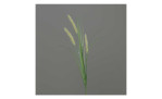 Gras 86 cm aus Kunstoff in grün mit drei zusätzlichen Applikationen in grün und einem grauen Hintergrund.