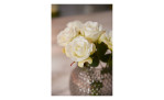 Weiße Rosen als Deko in der Vase Poesia 22,5 cm von Leonardo auf grauer Fläche arrangiert.