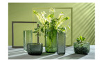 Fünf Leonardo "Vase Martello 27 cm" Glasvasen, einige mit weißen Blumen, auf grauem und grünem Hintergrund.