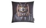 Kissenhülle Arty Animals Eule 45 x 45 cm aus Samt mit Eulenmotiv im Anzug vor dunklem Hintergrund.