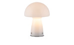 Die Paul Neuhaus Tischleuchte Fungo 22 cm leuchtet sanft vor einem schlichten Hintergrund.