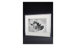 Bilderrahmen Accent 50 x 60 cm aus Aluminium mit einem silbernen Rahmen und transparentem Glas. Auf einem schwarzen Hintergrund.