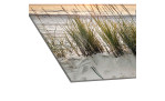 Glasbild Lonely Dune 30 x 80 cm, Strandlandschaft, Detailfoto von einer Ecke des Bildes