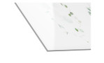 Glas-Art Watercoloures Leaves 30 x 30 cm. Glasbild mit dem Thema - Blätter. Detailansicht der Ecke.