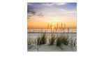 Glasbild Lonely Dune 20 x 20 cm. Glasbild mit dem Thema - Strand und Meer.