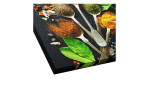 Leinwandbild Vintage Herbage 30x30 cm von Pro-Art zeigt bunte Gewürze und Kräuter auf dunklem Hintergrund.
