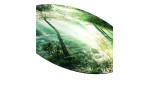 Alubild Wald Harmonie 100 cm von Pro-Art: Gebogenes, sonnenbeschienenes Waldbild, ideal als metallischer Wandschmuck.