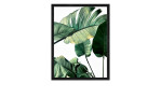 Pro-Art Rahmenbild Jungle Leaves I, 24x19 cm, zeigt grüne Monstera-Blätter auf weißem Grund mit einem MDF-Rahmen.