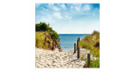 Ein sandiger Weg mit Sträuchern, wie das Leinwandbild Summer Breeze I von Pro-Art, führt zu einem blauen Meer unter sonnigem Himmel.