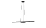Moderne LED-Hängeleuchte Zillerio-Z 116 cm, schwarz, teilmontiert, runder Leuchtring, Leuchtmittel inkl.