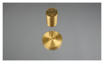 Die Trio LED-Pendelleuchte Franklin 14 cm ist eine moderne goldene Pendelleuchte mit einem runden Schirm und Leuchtmittel inklusive.