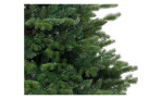Nahaufnahme von Tannenbaum Allison 210 cm Zweige vor weißem Hintergrund.