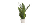 Kunstpflanze 50 cm mit grünen Blättern und weißen Topf.