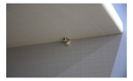 Metallstützstift, der ein helles Holzregal in einem Schwebetürenschrank Irvine hält.